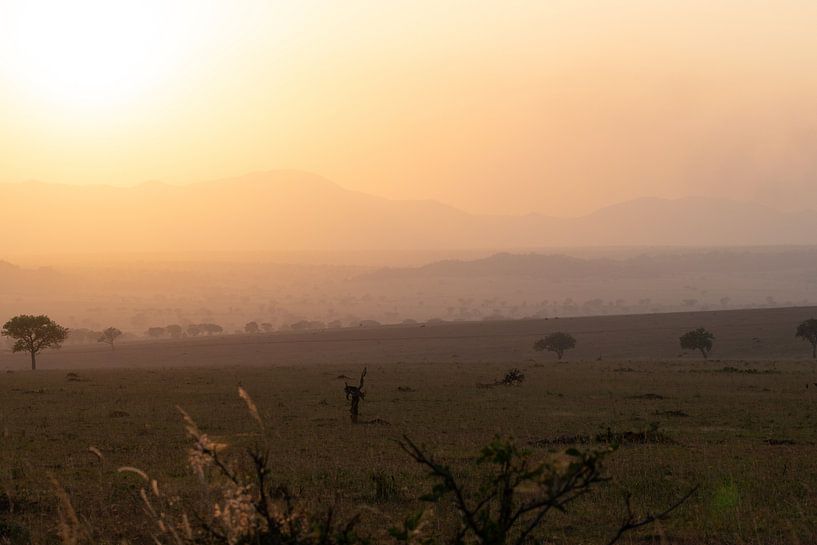 Flammes à l'horizon - La lumière du soir de Kidepo par Rick Massar