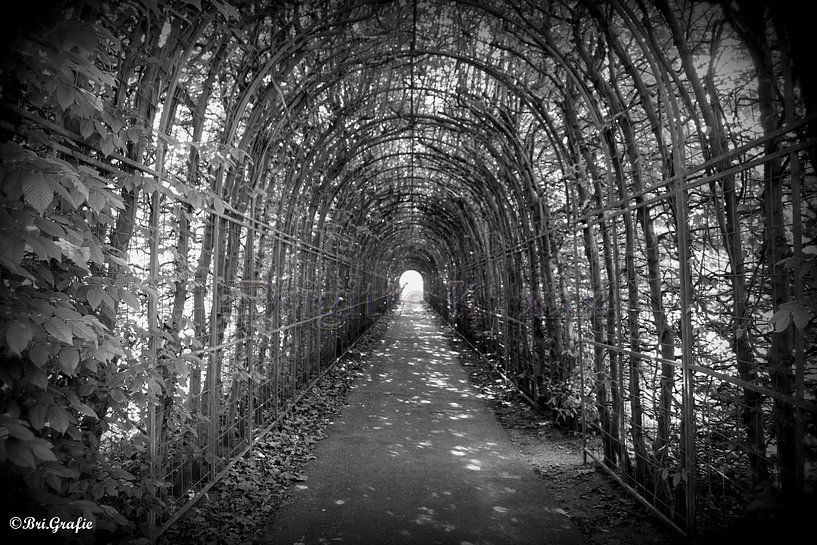 light at the end of the tunnel van Brigitte Kielenstijn
