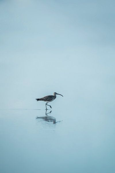 Gelassenheit im stillen Wasser - Vogelreflexion von Femke Ketelaar