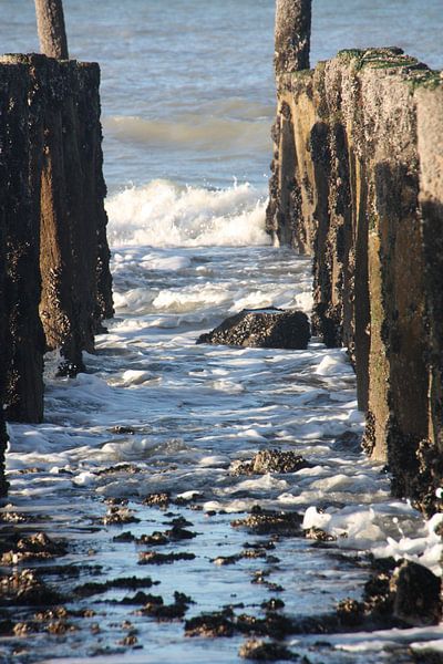 Breakwater Cadzand Bad by Marianne van den Bogaerdt