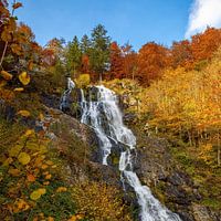 Todtnauer Wasserfall im Herbst