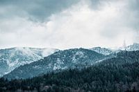 La Forêt-Noire en hiver