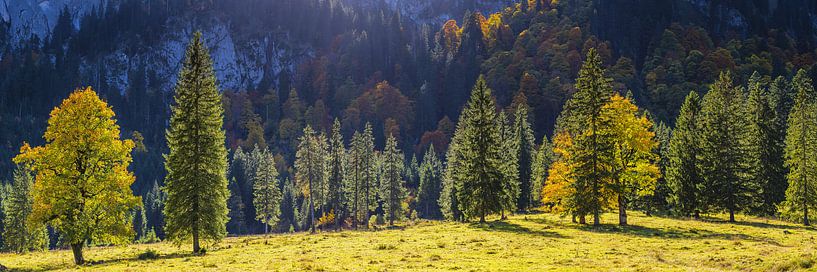 Automne, Alpes d'Ammergau par Walter G. Allgöwer