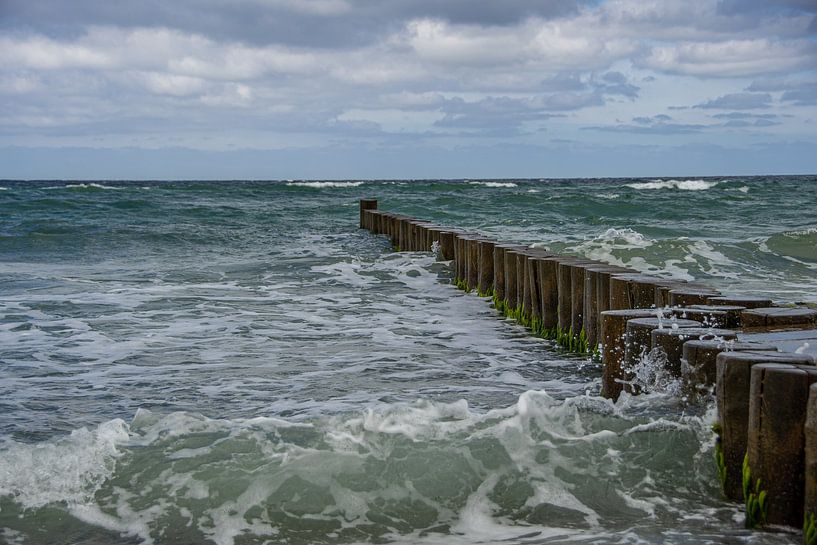 Buhne dans la mer Baltique sauvage sur la péninsule de Fischland-Darß-Zingst par David Esser