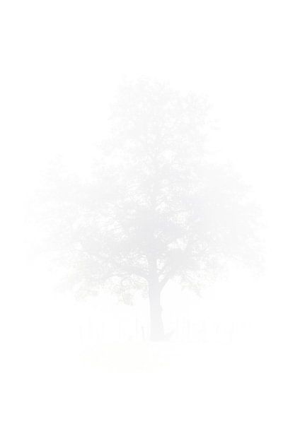 White tree by Wilfred Chevalking