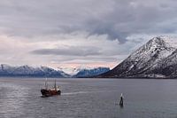Fischerboot im Kanal von Risøyrenna, Norwegen