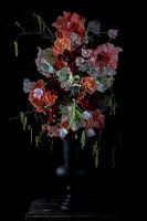 Magischer Frühlingsanfang