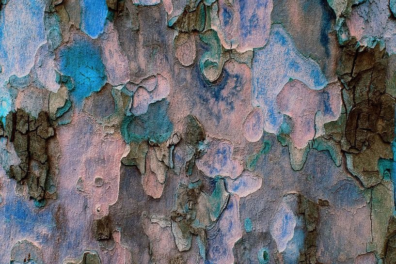 Die Mauer von Moonheart Artworks