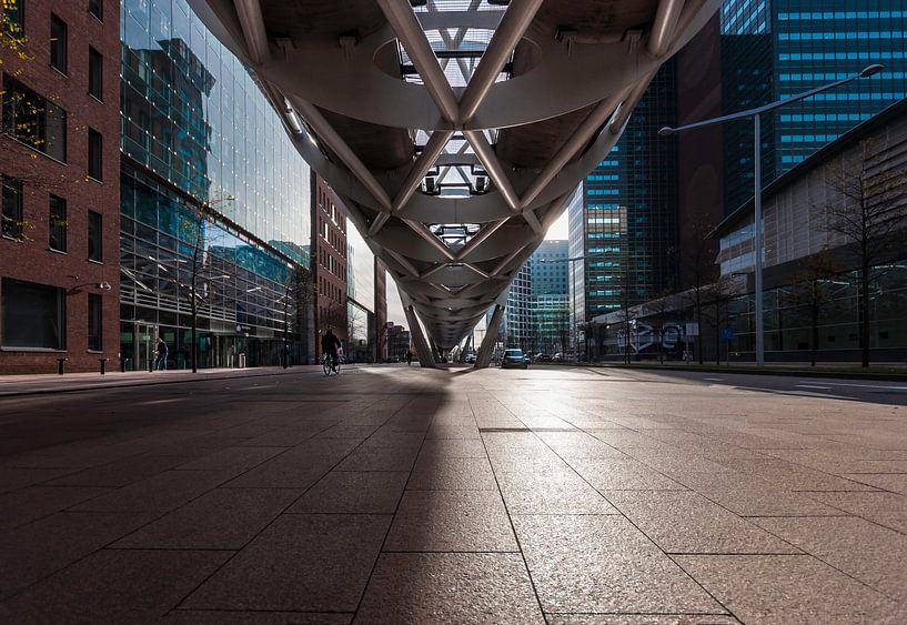 De Netkous in Beatrixkwartier Den Haag von Martijn van der Nat