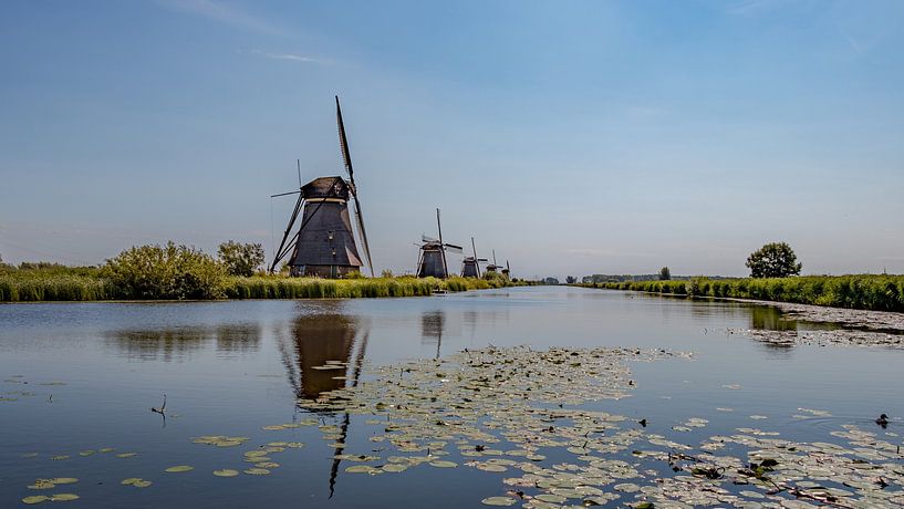 Kinderdijk by Maurice Meerten