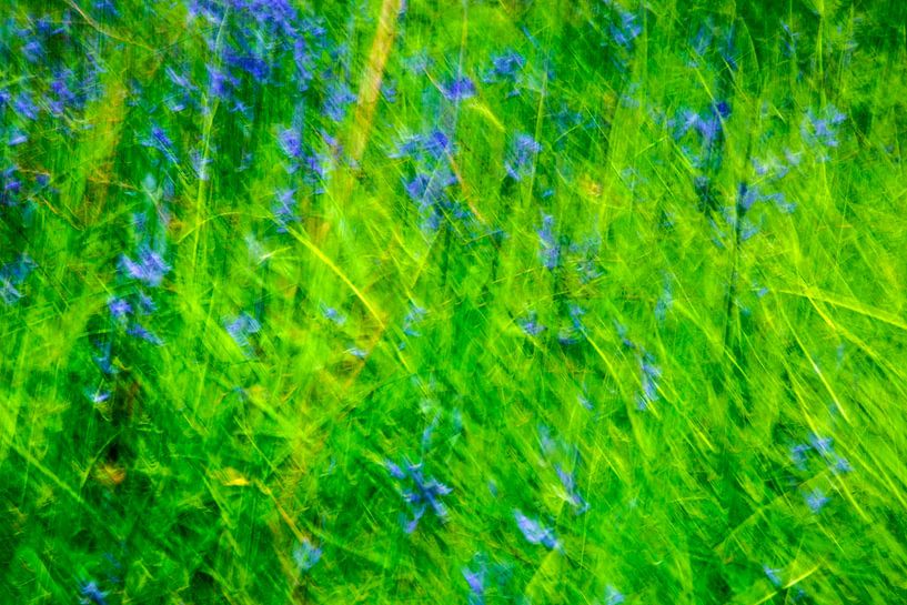 Cloche bleue en vert par Hans Kwaspen