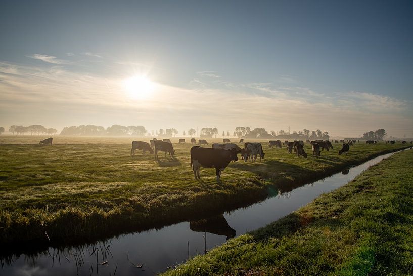 Foggy sunrise in Alblasserwaard. by René von Hout