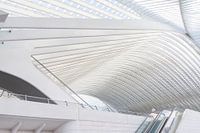 Architektur Lüttich-Guillemins, Bahnhof von Lüttich, entworfen von Calatrava.