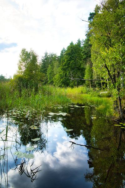 See in Schweden mit weißen Wolken, blaues Wasser und Bäumen am Ufer von Martin Köbsch