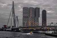 Éléments de Rotterdam