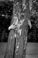 Tree hug