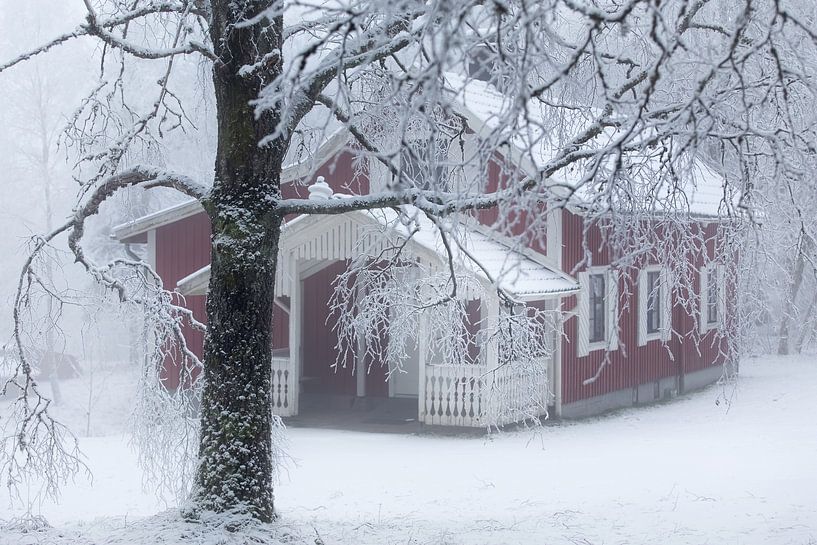 Chalet suédois dans la neige par Arthur van Iterson