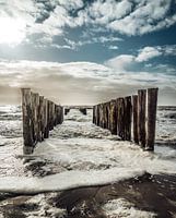 Windy day at the beach!