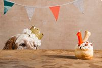 princesse d'anniversaire