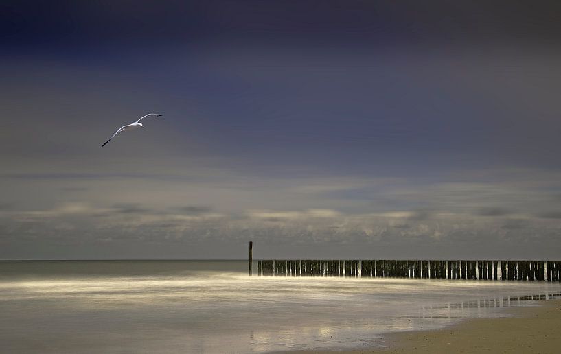 Domburgse kust par Fons Bitter