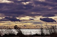 Between light and storm - morning at the lake