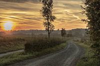 Sunrise on the Wiepelerberg Plateau of Margraten, Limburgs Landschap