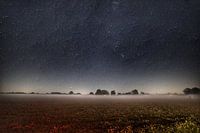 Brouillard et étoiles