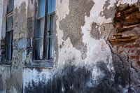 Old lived through wall