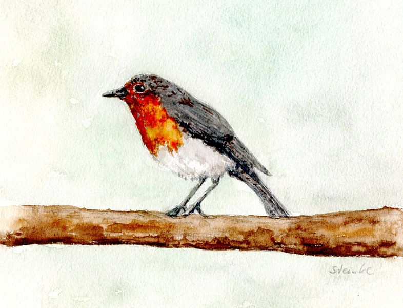 Rotkehlchen von Sandra Steinke