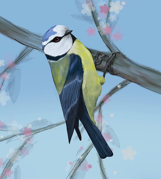 Blaumeise digitale Zeichnung von Bianca Wisseloo