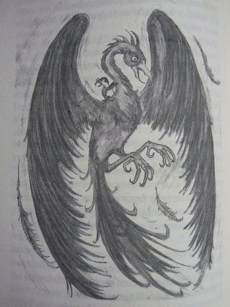 Argenta by Jose Beumers