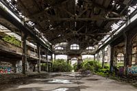 die Natur übernimmt