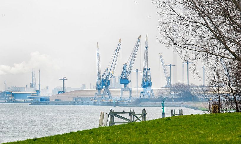 Industrie gegen Natur Rotterdam von Anouschka Hendriks