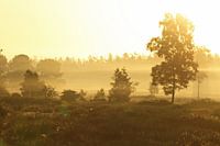 Zonsopgang / Sunrise