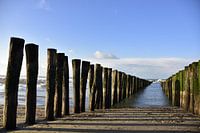 Opkomend en verdwijnend in de zee