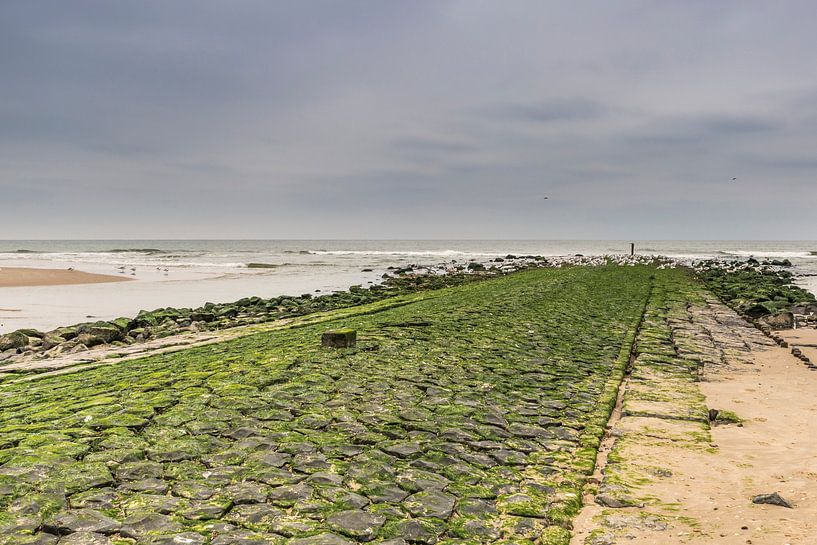 Golfbreker von Richard Janssen