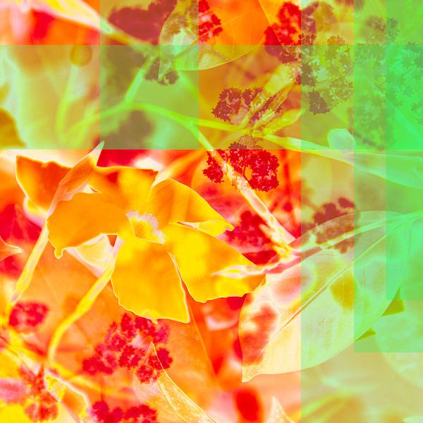 Summer feeling green by Maikel van der Beek