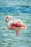 Flamingo (artist impression)