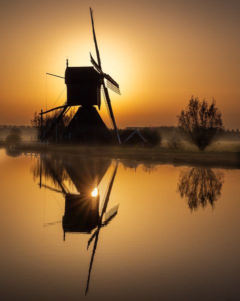 Lever de soleil derrière un moulin à vent au Kinderdijk par Pieter van Dieren (pidi.photo)