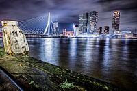 Die Brücken von Rotterdam