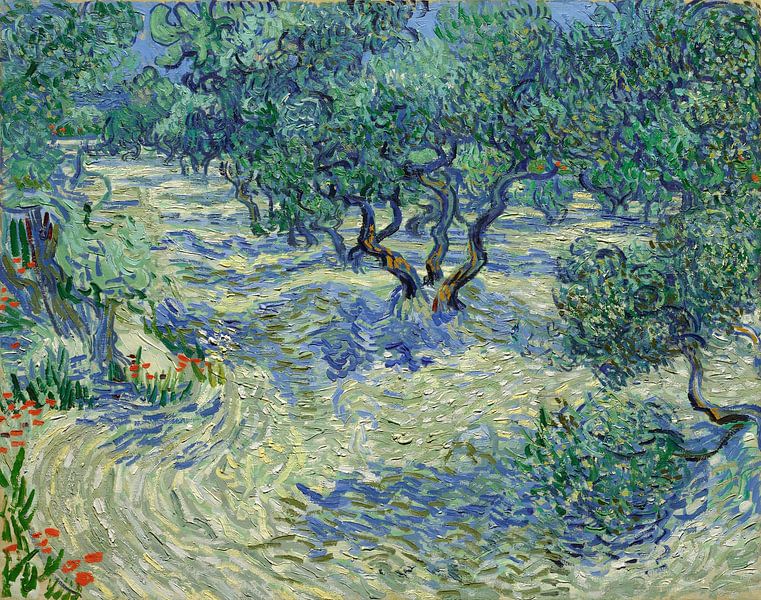 Vincent van Gogh. Olive orchard by 1000 Schilderijen