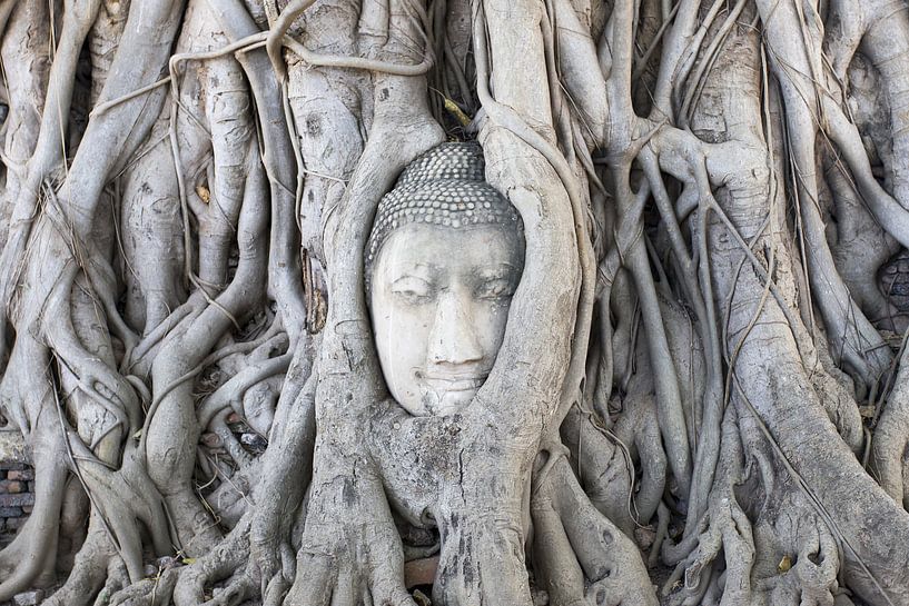 Bouddha à Ayutthaya par Antwan Janssen