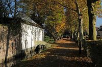 "Onder de Bomen" te Thorn