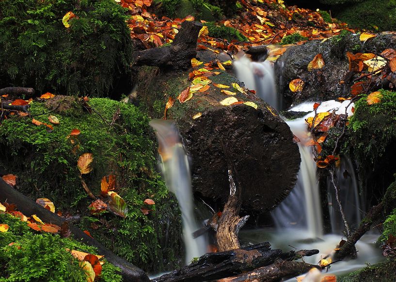 Wasserfall im Herbst an der Teufelsslucht in der Eifel von Aagje de Jong