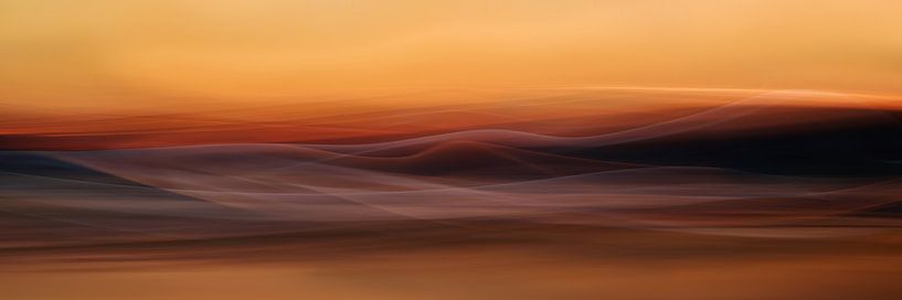 Là où rien ne pousse par Heidi Westum