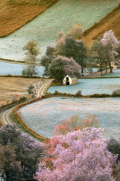 Shades by Lars van de Goor