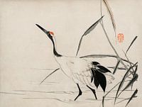 Traditional portrait of an elegant Japanese crane by Mochizuki Gyokusen