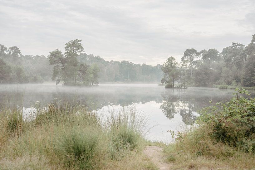 Nebel über einem Teich. Brabant in den Niederlanden. von Alie Ekkelenkamp