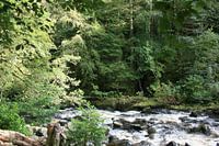 Die Eremitage, Dunkeld, Schottland 4