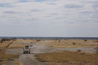 Auf dem Weg zu den Salzsümpfen von Makgadikgadi